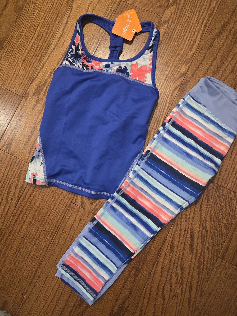 Gymboree Gymgo Blue Tank with Multicolor Striped Leggings 7/8